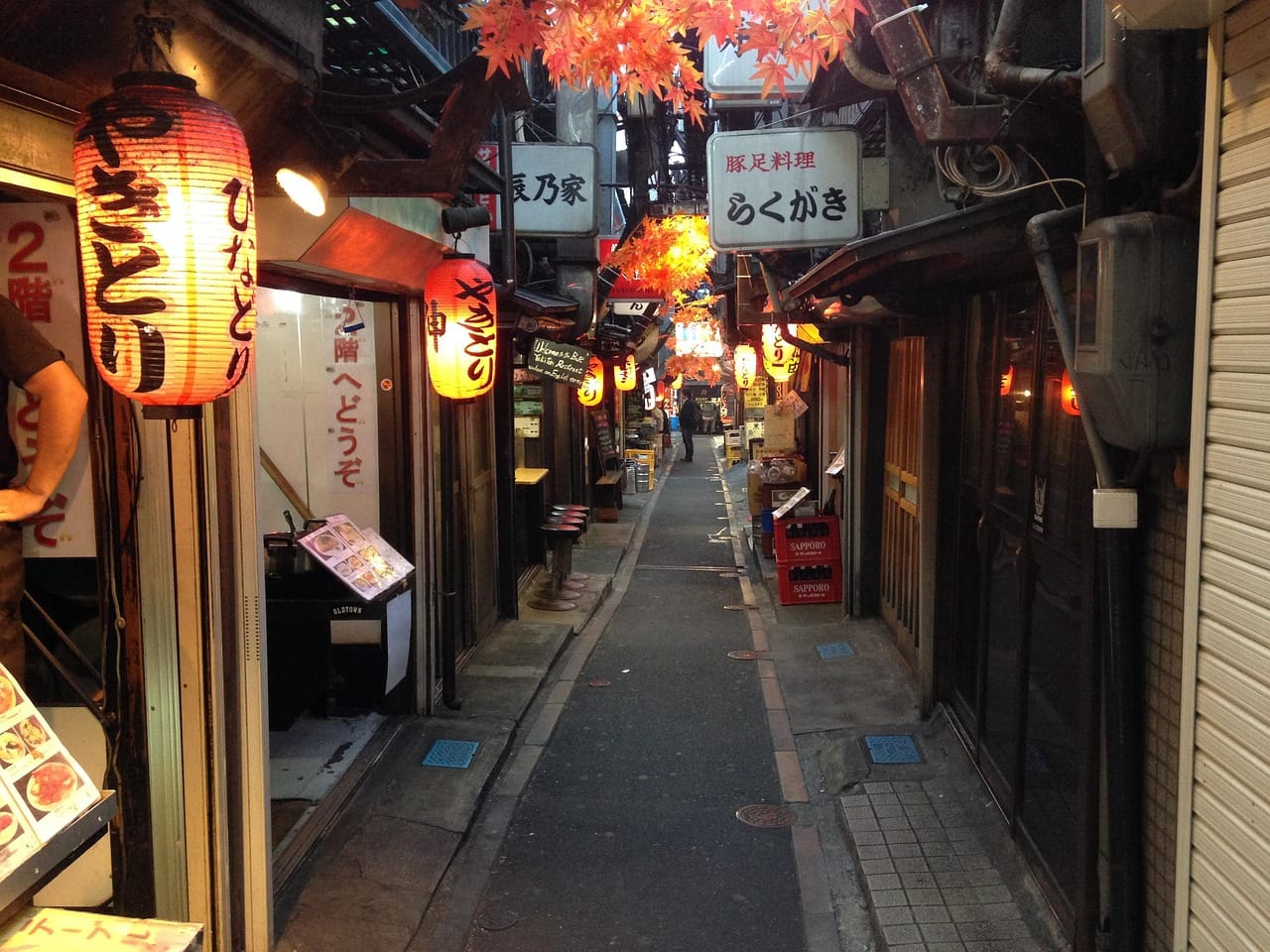 Yakitori: How to Order at a Real Yakitori Shop (Every Cut Explained)