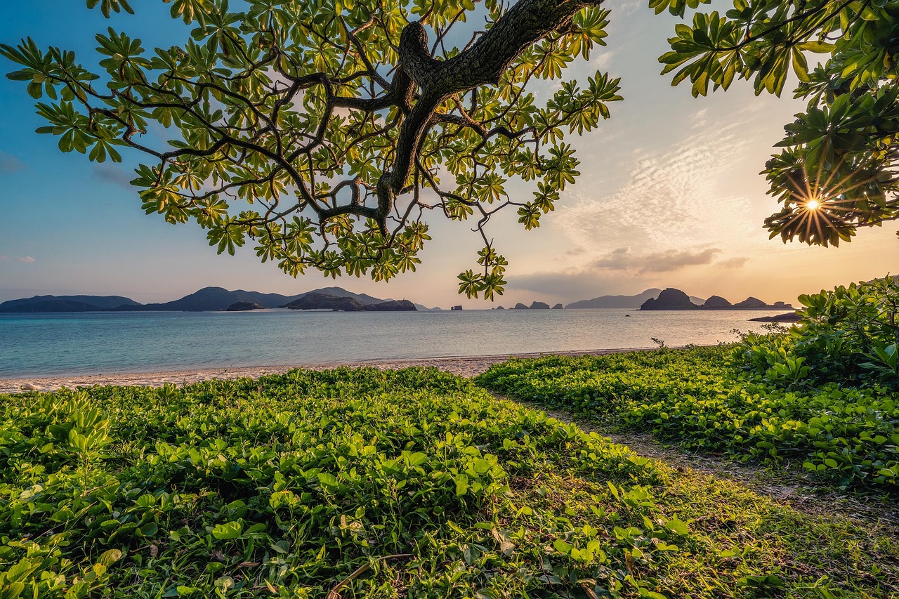 Okinawa Main Island: What to Do Beyond the Resorts — Local Food, Shuri Castle & Culture
